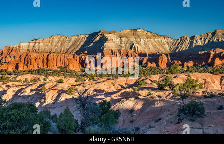 Felsformationen an Kodachrome Wohnung, Kodachrome Basin State Park, Utah, USA Stockfoto
