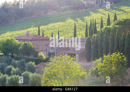 Provinz Siena, Italien - 6. August 2016: Sonnenuntergang über die Weinberge des Weingutes Castello di Albola in der Chianti-Region. Stockfoto