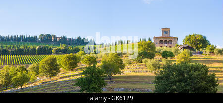 Provinz Siena, Italien - 6. August 2016: Sonnenuntergang über die Weinberge  des Weingutes Castello di Albola in der Chianti-Region Stockfotografie -  Alamy