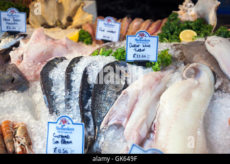 Fisch in Eis auf dem Display in einem Markt (Borough Market in London Bridge, London, UK) Stockfoto