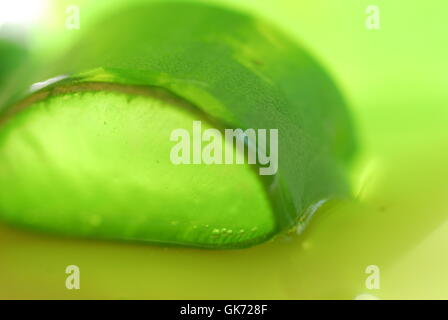 Aloe Vera Gel Serie Kosmetik Stockfoto