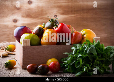 Sortierte Tomaten in Holzkiste. Zusammensetzung des bunten Gemüse im Sommer Erntezeit Stockfoto