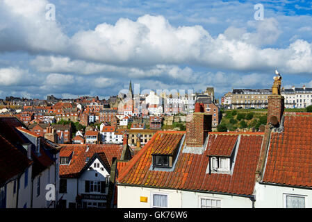 Whitby, North Yorkshire, England UK Stockfoto