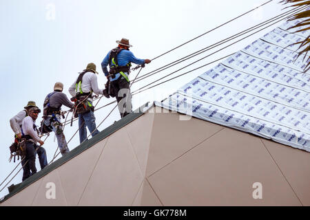 Naples, Florida, Artis-Naples Komplex, Dachreparatur, neu, unter, Bau, Baustelle, Gebäude, Erwachsene, Erwachsene, Männer, Männer, Arbeiter, Arbeiter, Sicherheit, persönlicher Schutz Stockfoto