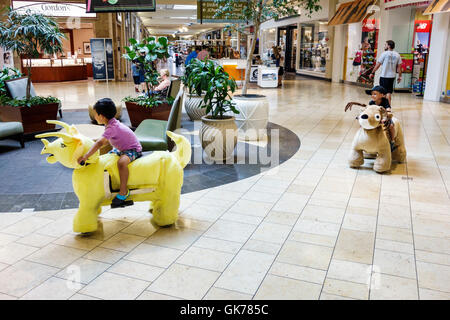 Naples, Florida, Coastland Center Einkaufszentrum, Einkaufszentrum, Geschäft, Gemeinschaftsbereich, Fahrten mit Animal Xpress, pelzigen Tierroller, Kind, männlicher Junge Jungen Kinder Stockfoto