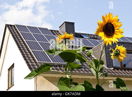 Sonnenkollektoren auf dem Hausdach hinter Sonnenblume Stockfoto
