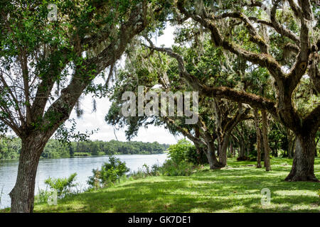 Florida, Süd, Hendry County, La Belle, Caloosahatchee River Water, Bob Mason Waterfront Park, öffentlicher Park, Bäume, lebende Eiche, spanischer Moos, Besucher reisen Stockfoto