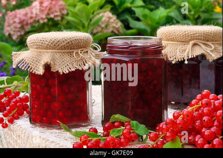 isolierte Beeren Marmelade Stockfoto