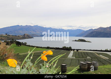 Blick auf Lake Wanaka aus Rippon Weinberg, Lake Wanaka, Neuseeland Stockfoto