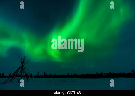 Nacht-Himmel und Zelt-polig beleuchtet mit Aurora Borealis, Nordlicht, Wapusk-Nationalpark, Manitoba, Kanada. Stockfoto