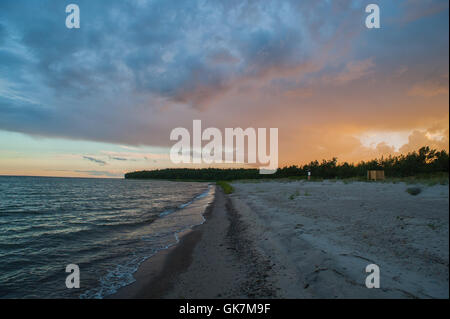 Insel der Aegna in der Nähe von Tallinn, Estland veranstaltet die EU-Präsidentschaft im Jahr 2017. August 2016. Stockfoto