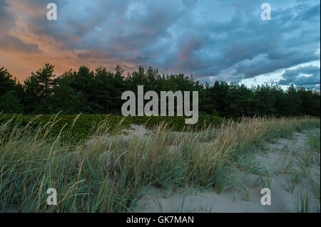 Insel der Aegna in der Nähe von Tallinn, Estland veranstaltet die EU-Präsidentschaft im Jahr 2017. August 2016. Stockfoto