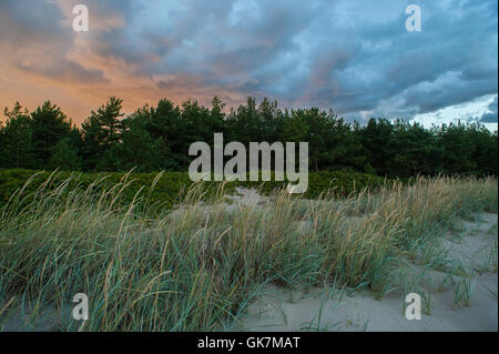 Insel der Aegna in der Nähe von Tallinn, Estland veranstaltet die EU-Präsidentschaft im Jahr 2017. August 2016. Stockfoto