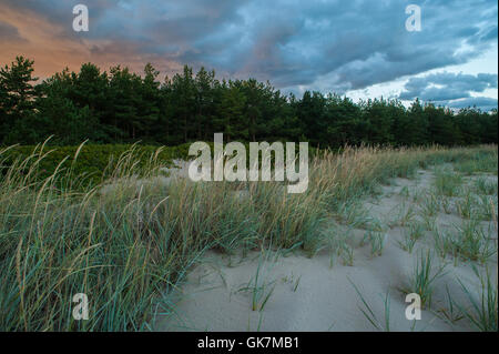 Insel der Aegna in der Nähe von Tallinn, Estland veranstaltet die EU-Präsidentschaft im Jahr 2017. August 2016. Stockfoto