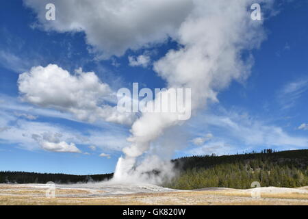 Wyoming, USA. 6. Oktober 2015. Datei - Schwall Frühjahr "Old Faithful" im Yellowstone National Park in Wyoming, USA, 6. Oktober 2015. Foto: CHRIS MELZER, Dpa/Alamy Live News Stockfoto