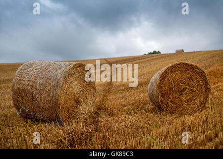 Hucknall, Nottinghamshire, UK. 19. August 2016. Met Office haben eine gelbe Warnung für starke südwestliche Winde und Blustry Duschen Aross East Midlands ausgestellt. Bildnachweis: Ian Francis/Alamy Live-Nachrichten Stockfoto