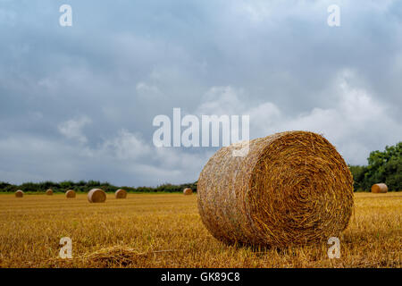 Hucknall, Nottinghamshire, UK. 19. August 2016. Met Office haben eine gelbe Warnung für starke südwestliche Winde und Blustry Duschen Aross East Midlands ausgestellt. Bildnachweis: Ian Francis/Alamy Live-Nachrichten Stockfoto