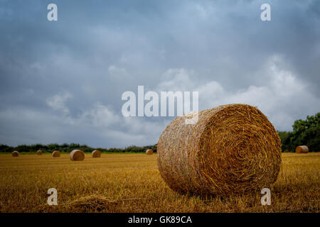 Hucknall, Nottinghamshire, UK. 19. August 2016. Met Office haben eine gelbe Warnung für starke südwestliche Winde und Blustry Duschen Aross East Midlands ausgestellt. Bildnachweis: Ian Francis/Alamy Live-Nachrichten Stockfoto