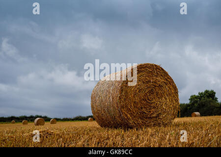 Hucknall, Nottinghamshire, UK. 19. August 2016. Met Office haben eine gelbe Warnung für starke südwestliche Winde und Blustry Duschen Aross East Midlands ausgestellt. Bildnachweis: Ian Francis/Alamy Live-Nachrichten Stockfoto