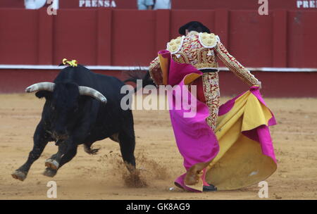 19. August 2016 - 19. August 2016 - Malaga, Spanien - Spanischer Stierkämpfer Enrique Ponce kämpft mit seinen ersten Stier am Nachmittag während der August-Messe hat ein Ohr geschnitten fand in La Malagueta Stierkampfarena in Malaga, Andalusien, Spanien am 19. August 2016 (Credit-Bild: © Fotos Lorenzo Carnero über ZUMA Draht) Stockfoto