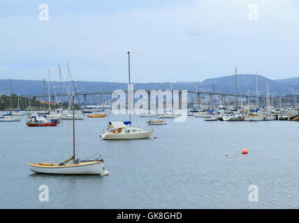 Yachthafen und Tasman Bridge in Hobart Tasmanien Australien. Stockfoto