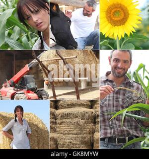 Frau Landwirtschaft Landwirtschaft Stockfoto