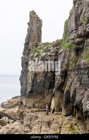 Zwei Wanderer erkunden die vertikale Kalkstein-Klippen in der Nähe von St Govans Chapel in Pembrokeshire Coast National Park, Wales, Großbritannien Stockfoto