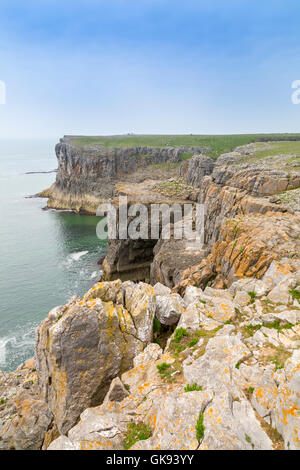 Die vertikale Kalksteinfelsen in der Nähe von St Govans Chapel in Pembrokeshire Coast National Park, Wales, Großbritannien Stockfoto