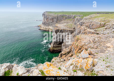 Die vertikale Kalksteinfelsen und Simsen in der Nähe von St Govans Chapel in Pembrokeshire Coast National Park, Wales, Großbritannien Stockfoto