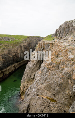 Vertikale Kalksteinfelsen, Gesimsen und Schlucht in der Nähe von St Govans Chapel in Pembrokeshire Coast National Park, Wales, Großbritannien Stockfoto