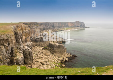 Die vertikale Kalksteinfelsen und Simsen in der Nähe von St Govans Head in Pembrokeshire Coast National Park, Wales, Großbritannien Stockfoto