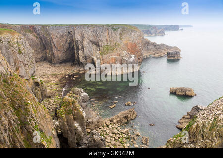 Die vertikale Kalksteinfelsen in der Nähe von Elegug Stacks in Pembrokeshire Coast National Park, Wales, Großbritannien Stockfoto