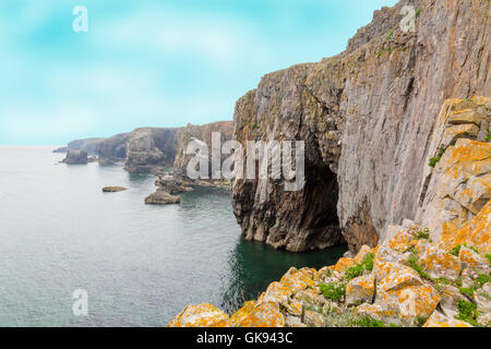 Die vertikale Kalksteinfelsen in der Nähe von Elegug Stacks in Pembrokeshire Coast National Park, Wales, Großbritannien Stockfoto