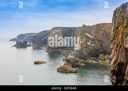 Die vertikale Kalksteinfelsen in der Nähe von Elegug Stacks in Pembrokeshire Coast National Park, Wales, Großbritannien Stockfoto