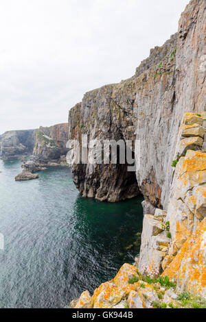 Die vertikale Kalksteinfelsen in der Nähe von Elegug Stacks in Pembrokeshire Coast National Park, Wales, Großbritannien Stockfoto