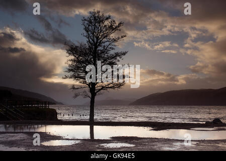 Bedrohliche Himmel sammeln über Loch Ness bei Dores im Hochland Schottlands.  SCO 11.166. Stockfoto