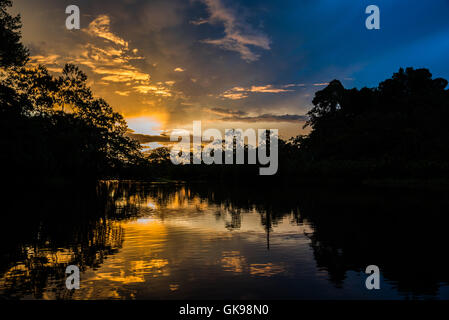 Bunte Wolken bei Sonnenuntergang in der Amazonen. Yasuni-Nationalpark in Ecuador, Südamerika. Stockfoto