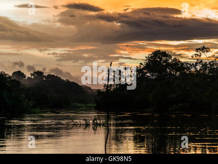 Bunte Wolken bei Sonnenuntergang in der Amazonen. Yasuni-Nationalpark in Ecuador, Südamerika. Stockfoto