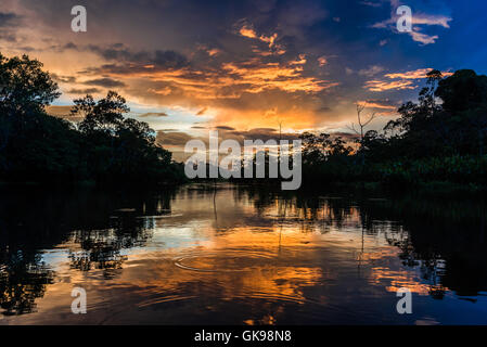 Bunte Wolken bei Sonnenuntergang in der Amazonen. Yasuni-Nationalpark in Ecuador, Südamerika. Stockfoto