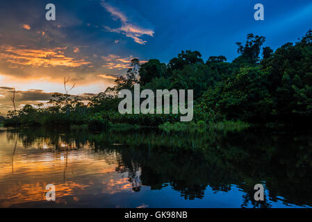 Bunte Wolken bei Sonnenuntergang in der Amazonen. Yasuni-Nationalpark in Ecuador, Südamerika. Stockfoto