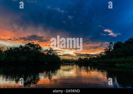 Sonnenuntergang nach einem Gewitter in der Amazonen. Yasuni-Nationalpark in Ecuador, Südamerika. Stockfoto