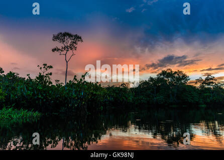 Bunte Wolken bei Sonnenuntergang in der Amazonen. Yasuni-Nationalpark in Ecuador, Südamerika. Stockfoto