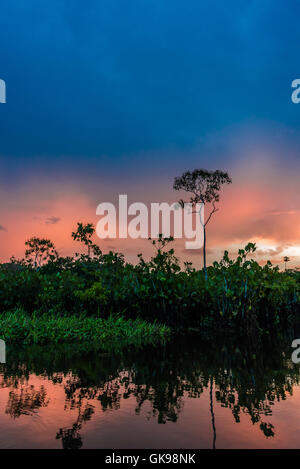 Bunte Wolken bei Sonnenuntergang in der Amazonen. Yasuni-Nationalpark in Ecuador, Südamerika. Stockfoto