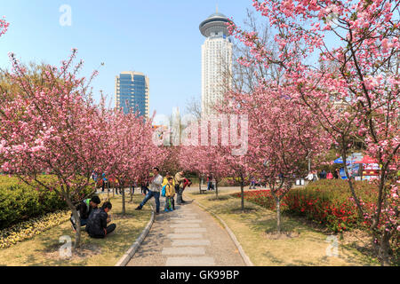 Shanghai, China - 26. März 2016: Touristen zu Fuß in Peoples Park einer der verkehrsreichsten in Shanghai. Stockfoto