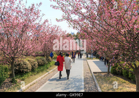 Shanghai, China - 26. März 2016: Touristen zu Fuß in Peoples Park einer der verkehrsreichsten in Shanghai. Stockfoto