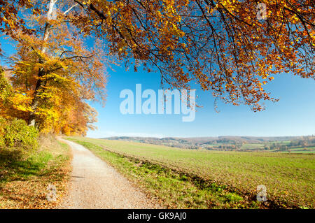 Herbst Landschaft Stockfoto