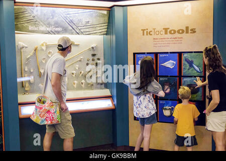 Florida Gulf Coast, Bradenton, South Florida Museum, Naturgeschichte, Kulturerbe, Ausstellungssammlung, interpretative Ausstellung, sichtbarer Speicher Stockfoto