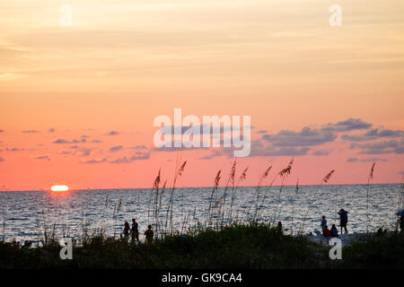 Florida Golf von Mexiko, Golfküste, Anna Maria Island, Bradenton Beach, Strand, Sonnenuntergang, Meeresuder, Sonnenuntergang, Sonnenuntergang, Horizont, Wolken, orangefarbener Himmel, Silhouette, FL1 Stockfoto