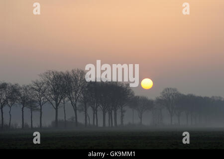 Atmosphärischen Sonnenaufgang über einer kleinen ländlichen Straße, Gasse an einem dunstigen morgen irgendwo in Deutschland. Stockfoto