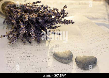 steinernen Herzen und Lavendel Stockfoto